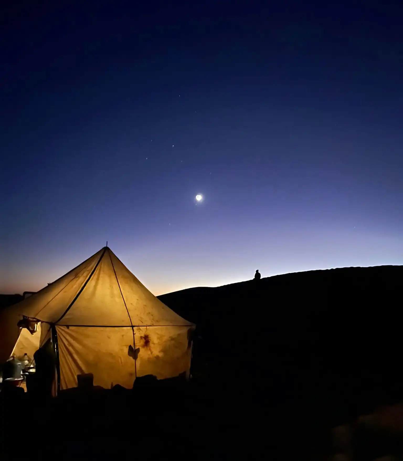 the night sky in the desert